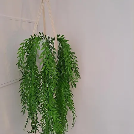 Lucas House Hébergement de vacances *