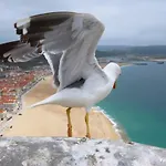 Lucas House Nazaré