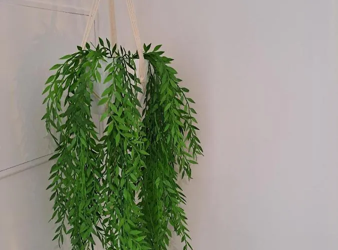 Lucas House Дом отдыха *