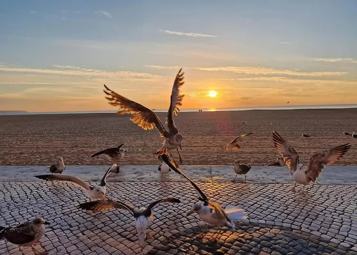 Lucas House Nazaré